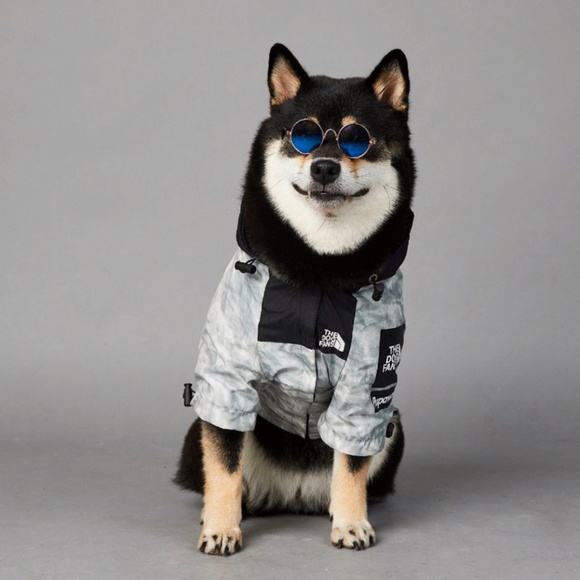 The North Face Other - Fall dog jacket
